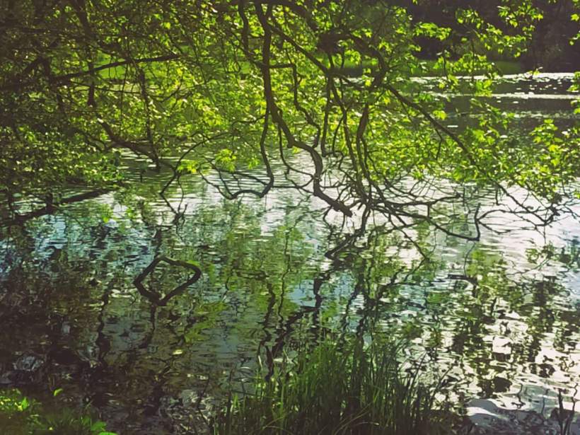 FB_IMG_1494848046921